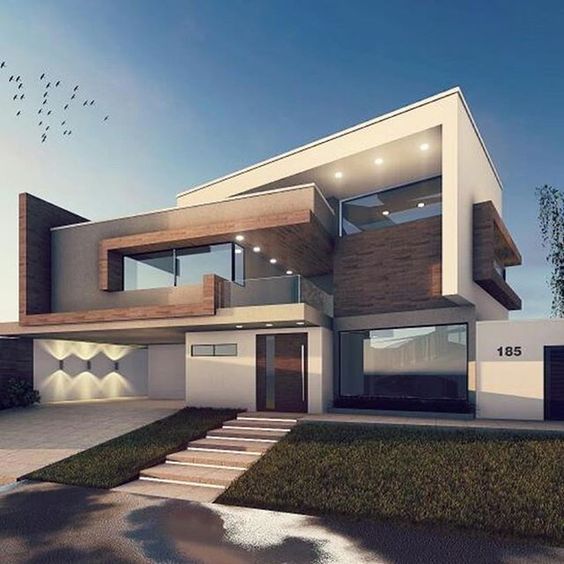 ELIMINAR CHINCHES MORELOS